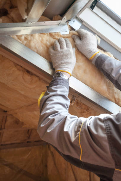 Best Insulation Installation Services in Lapeer, MI