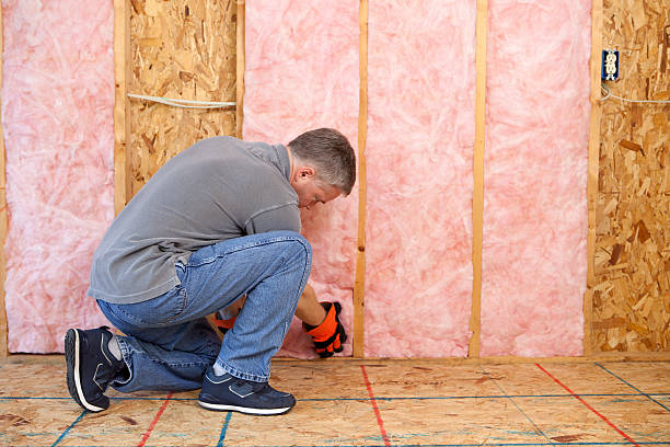 Best Residential Insulation in Lapeer, MI